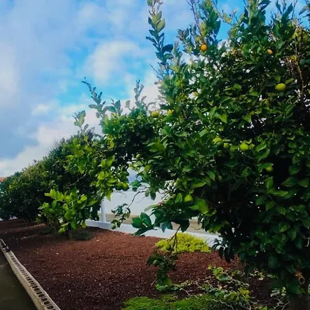 Rural La Casa サン・クリストバル・デ・ラ・ラグーナ